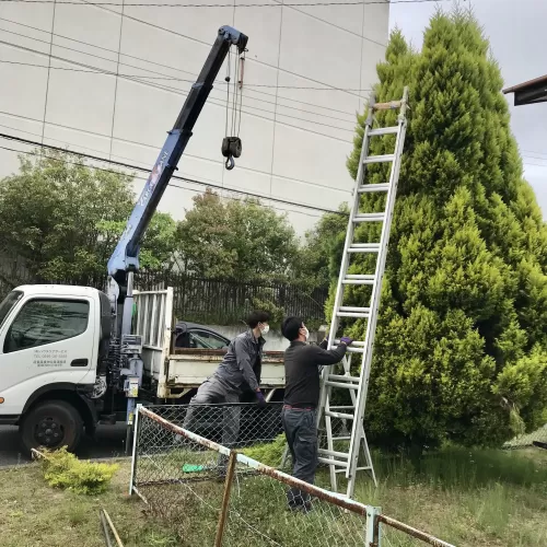 いわき市樹木伐採処分！のサムネイル