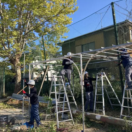 フジ棚解体撤去工事！のサムネイル